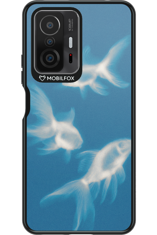 Lady of the Lake 2.0 - Xiaomi Mi 11T