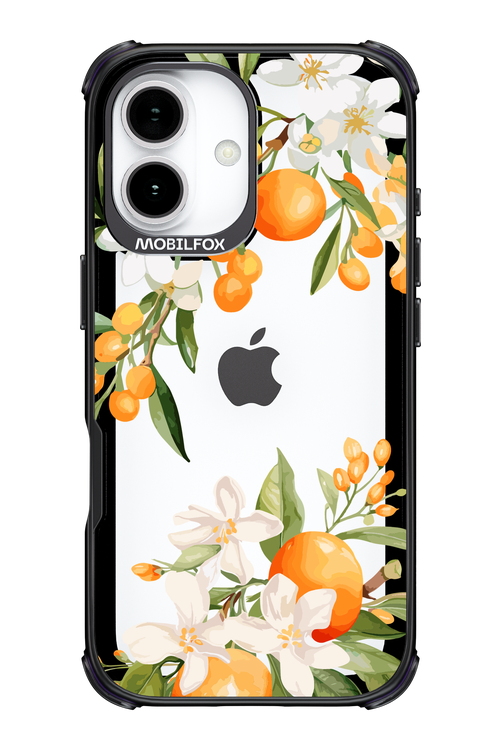 Amalfi Orange - Apple iPhone 17