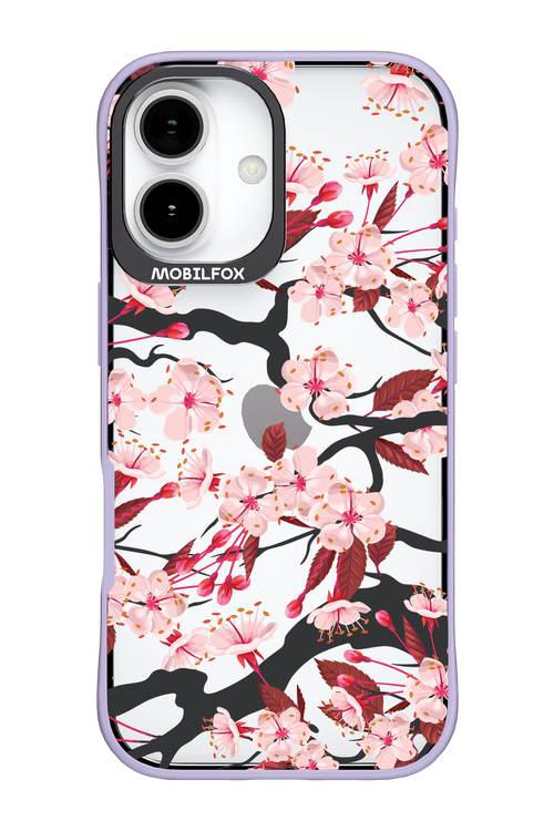 Sakura - Apple iPhone 17