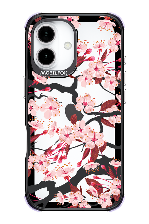 Sakura - Apple iPhone 17