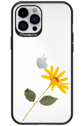 Pressed Flower - Apple iPhone 12 Pro Max