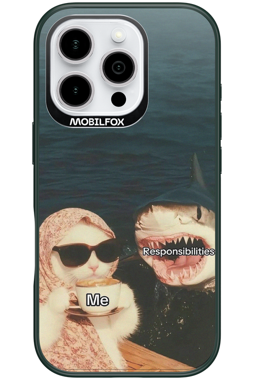 Responsibilities - Apple iPhone 16 Pro