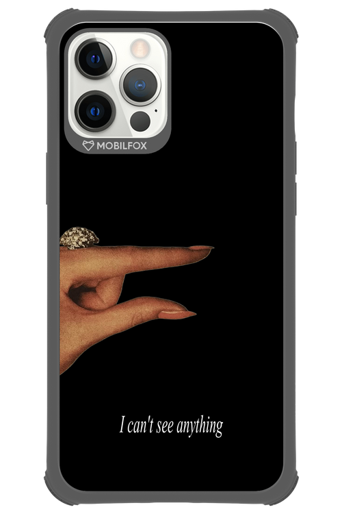 I can't see anything 2.0 - Apple iPhone 12 Pro Max