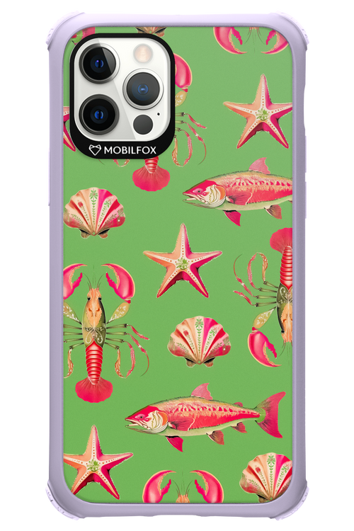 Sea Stars - Apple iPhone 12 Pro