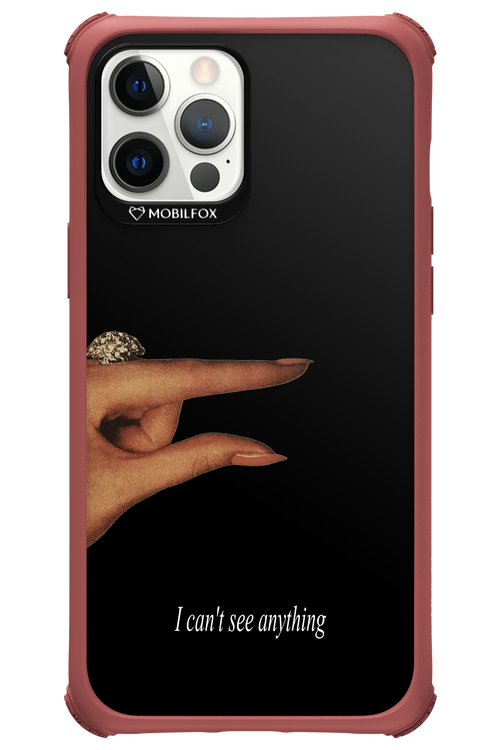 I can't see anything 2.0 - Apple iPhone 12 Pro Max