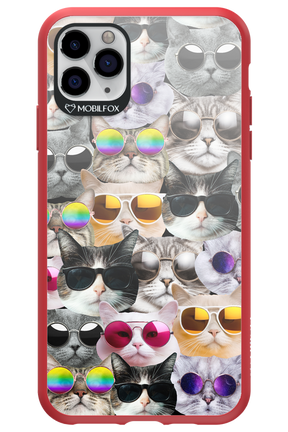 Cat World - Apple iPhone 11 Pro Max