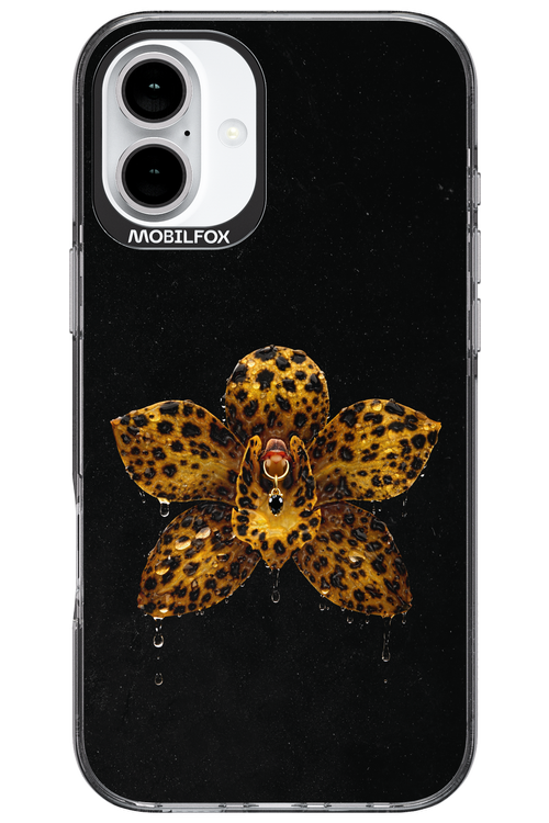 Wet & Wild 2.0 - Apple iPhone 16 Plus