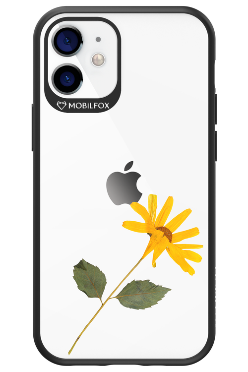 Pressed Flower - Apple iPhone 12 Mini