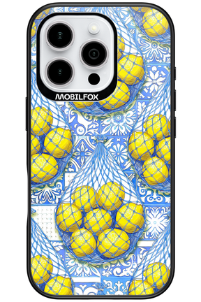 Net Style - Apple iPhone 16 Pro