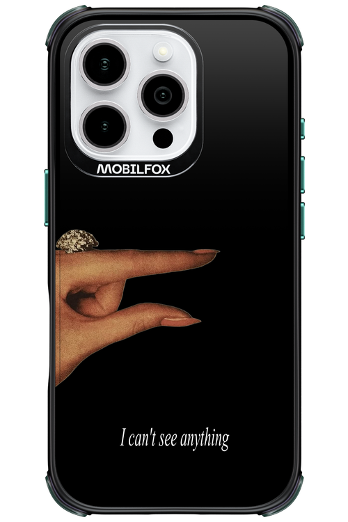 I can't see anything 2.0 - Apple iPhone 16 Pro