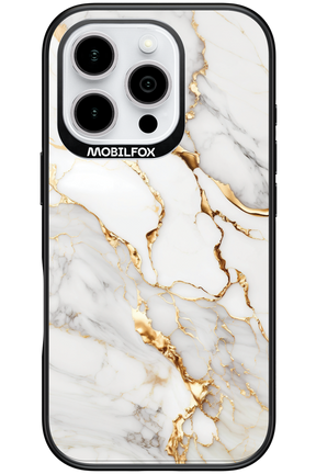 Ariel - Apple iPhone 16 Pro