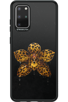 Wet & Wild 2.0 - Samsung Galaxy S20+
