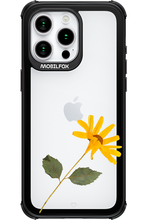 Pressed Flower - Apple iPhone 15 Pro Max