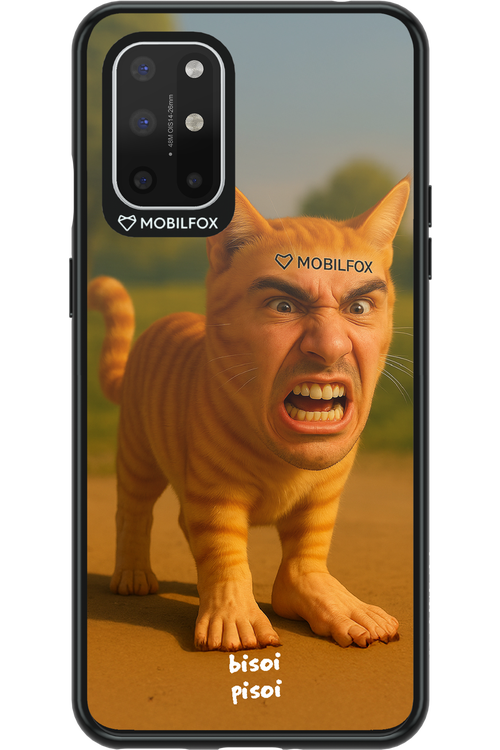 Bisoi Pisoi - OnePlus 8T