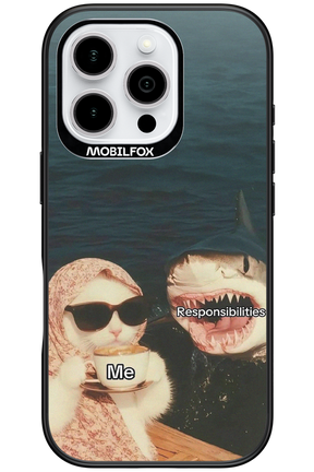 Responsibilities - Apple iPhone 16 Pro