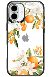 Amalfi Orange 2.0 - Apple iPhone 16 Plus
