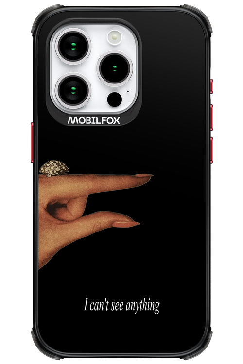I can't see anything 2.0 - Apple iPhone 15 Pro