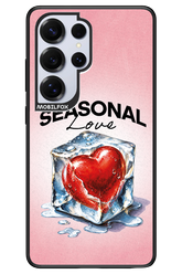 Seasonal Love 2.0 - Samsung S25 Ultra