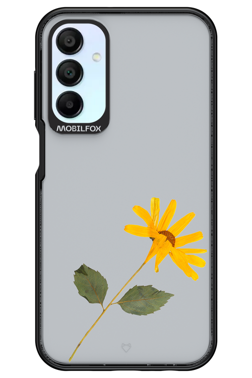 Pressed Flower - Samsung Galaxy A15