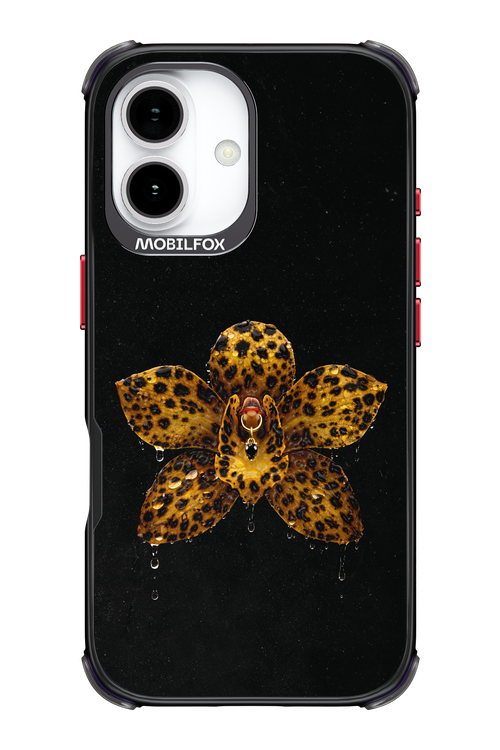 Wet & Wild 2.0 - Apple iPhone 17