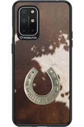 Year of the horse 2.0 - OnePlus 8T