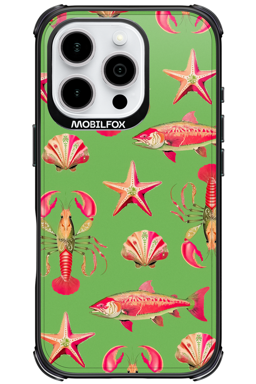 Sea Stars - Apple iPhone 16 Pro
