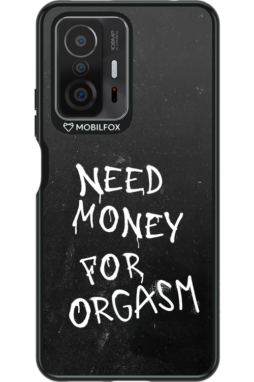 Orgasm 2.0 - Xiaomi Mi 11T