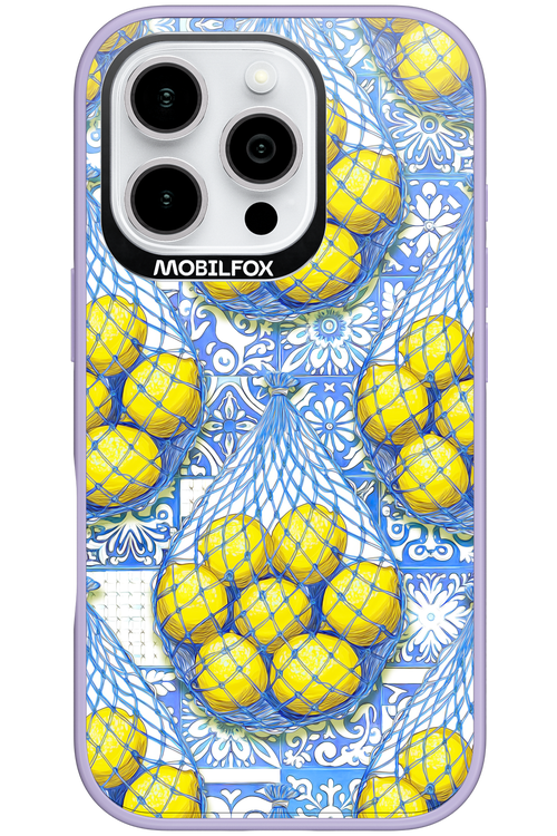 Net Style - Apple iPhone 16 Pro