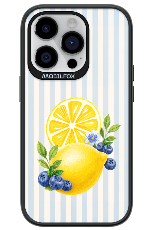 Fresh Flash 2.0 - Apple iPhone 14 Pro