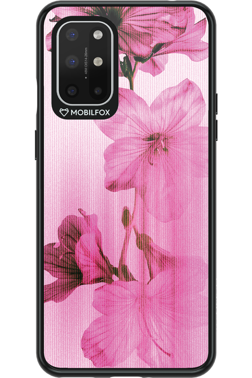 Floro - OnePlus 8T