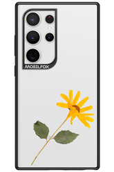 Pressed Flower - Samsung Galaxy S24 Ultra