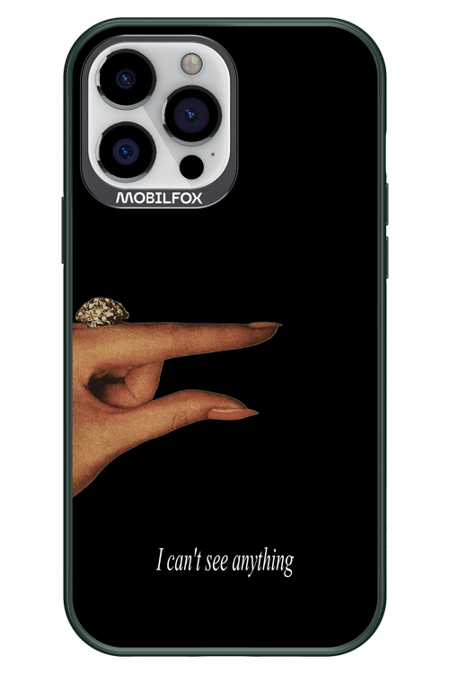 I can't see anything 2.0 - Apple iPhone 13 Pro Max