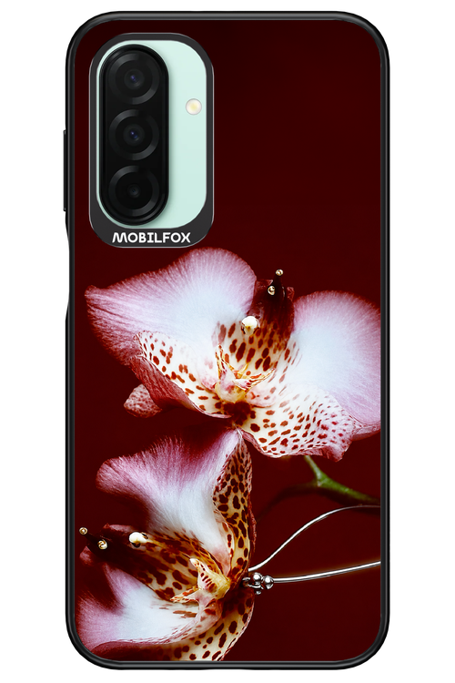 Leobloomy 2.0 - Samsung Galaxy A26
