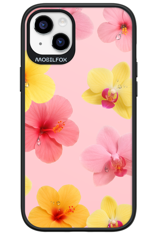 Sunset Flowers - Apple iPhone 14 Plus