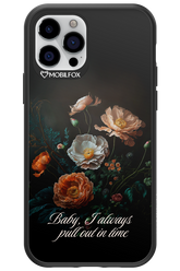 In time 2.0 - Apple iPhone 12 Pro