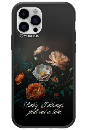 In time 2.0 - Apple iPhone 12 Pro
