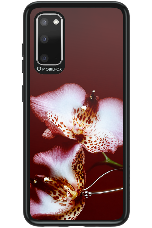 Leobloomy 2.0 - Samsung Galaxy S20