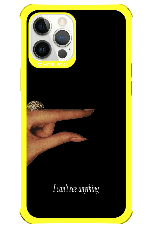 I can't see anything 2.0 - Apple iPhone 12 Pro Max