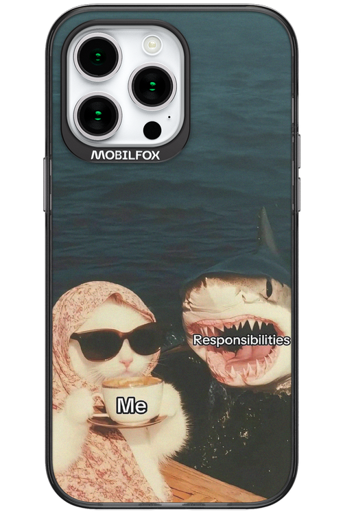 Responsibilities - Apple iPhone 15 Pro Max