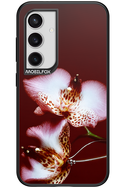 Leobloomy 2.0 - Samsung Galaxy S24