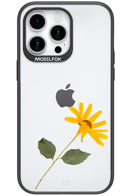 Pressed Flower - Apple iPhone 15 Pro Max