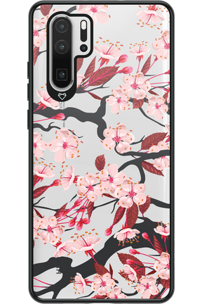 Sakura - Huawei P30 Pro