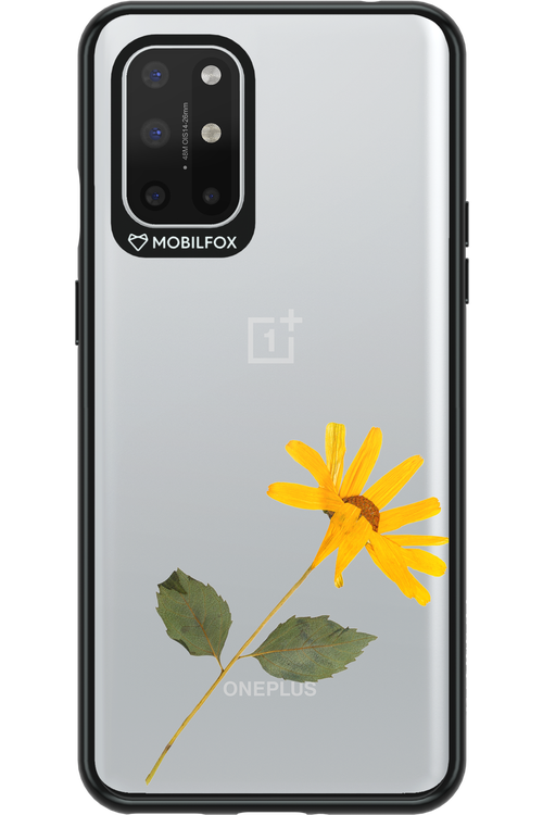 Pressed Flower - OnePlus 8T