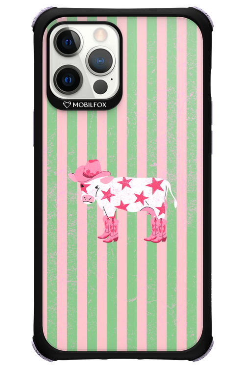 Youre a star 2.0 - Apple iPhone 12 Pro Max