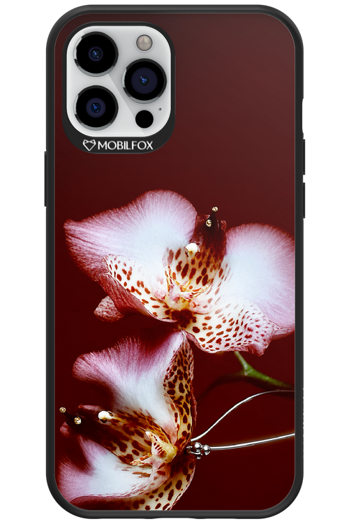Leobloomy 2.0 - Apple iPhone 12 Pro Max