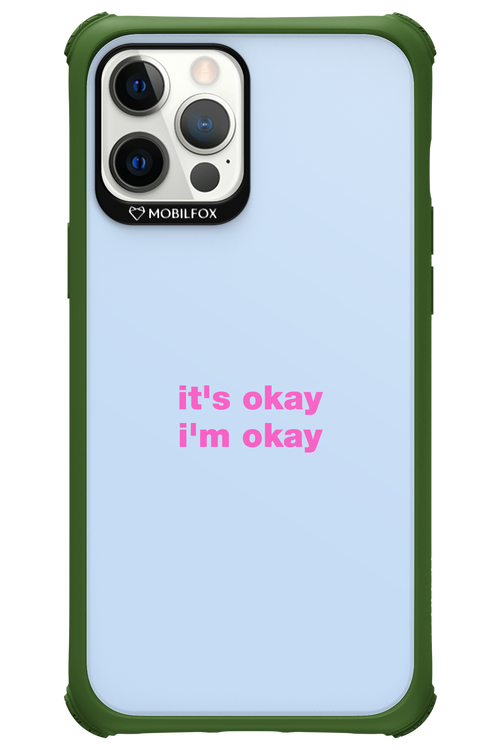 It_s Okay - Apple iPhone 12 Pro Max