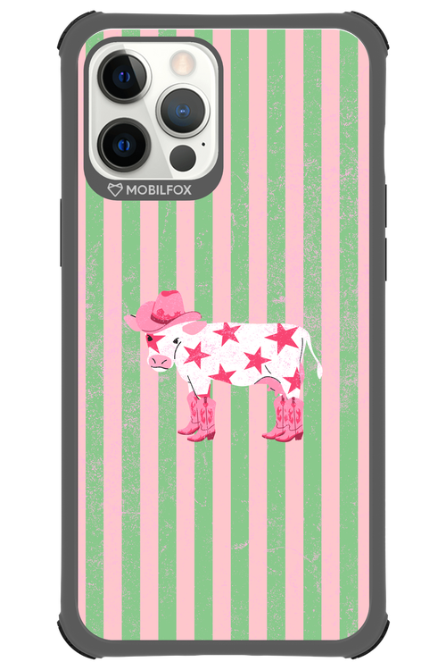 Youre a star 2.0 - Apple iPhone 12 Pro Max