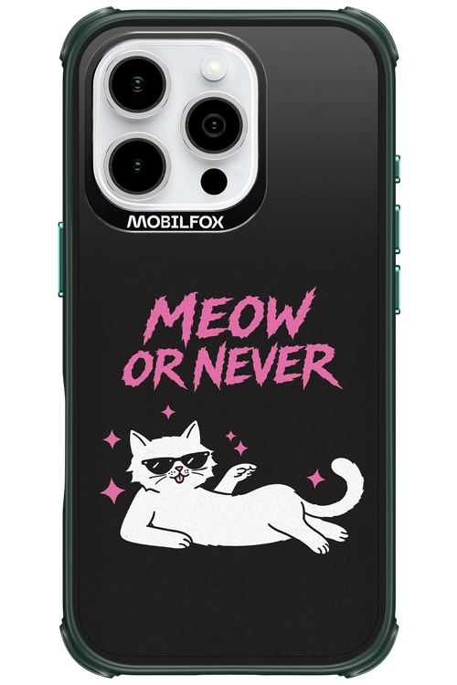 MEOW OR NEVER 2.0 - Apple iPhone 16 Pro