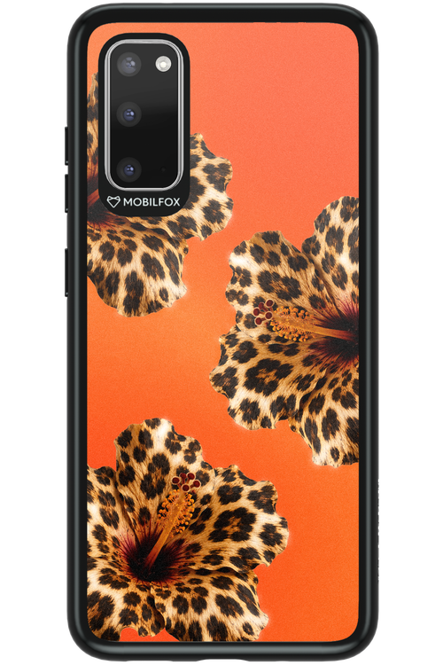 Sun Purr 2.0 - Samsung Galaxy S20