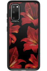 Amaryllis Noir - Samsung Galaxy S20